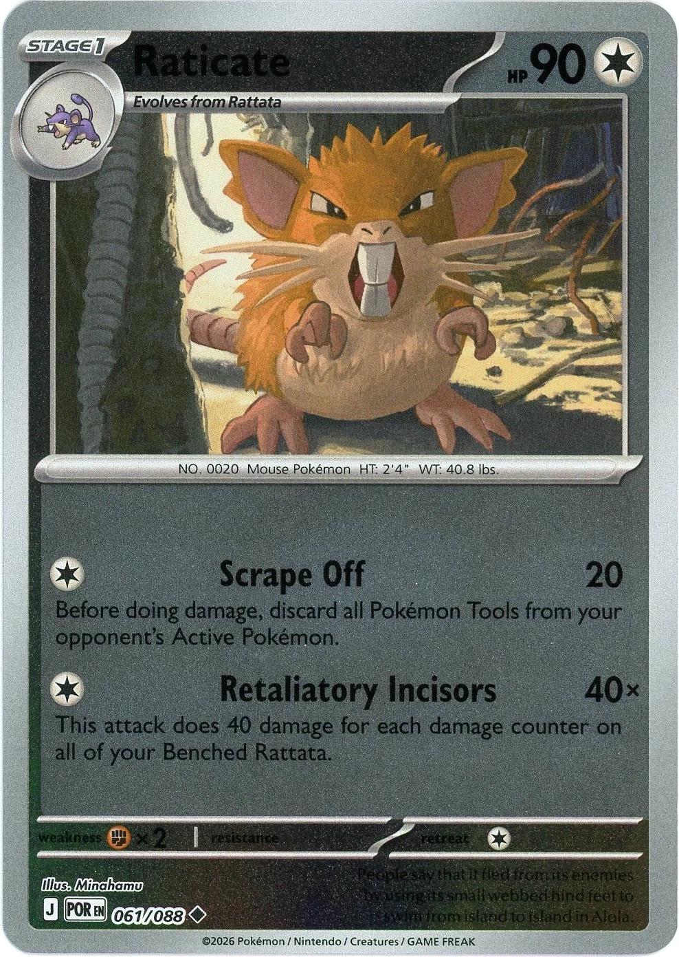 Raticate 61/88 Perfect Order