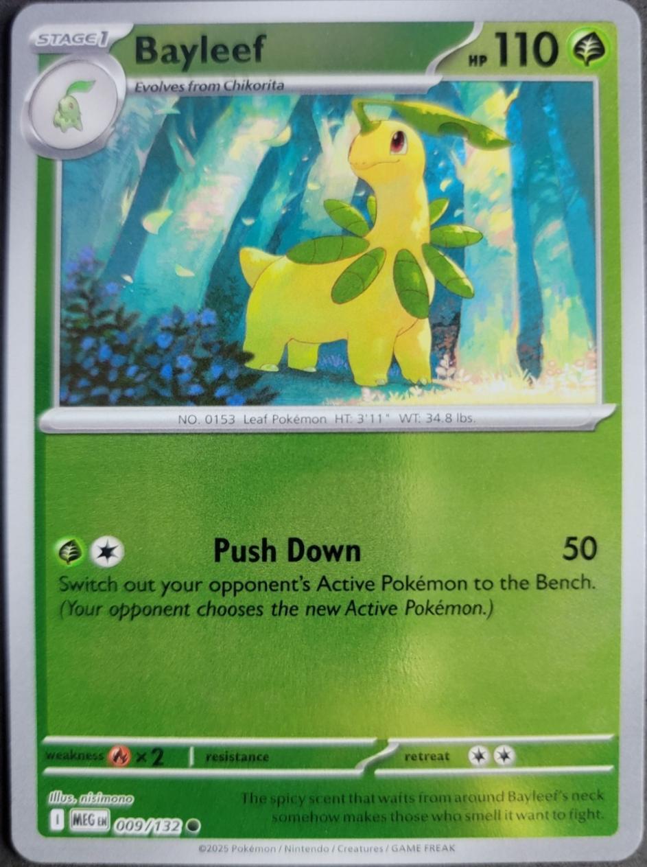 Bayleef 9/217 Ascended Heroes
