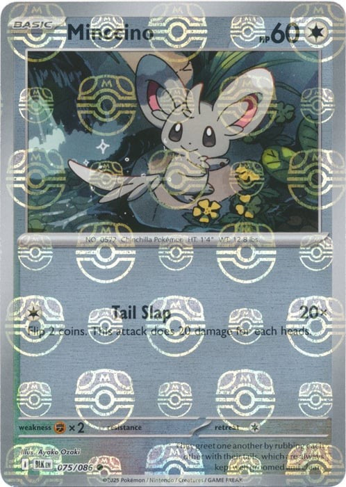 Minccino 75/86 Black Bolt