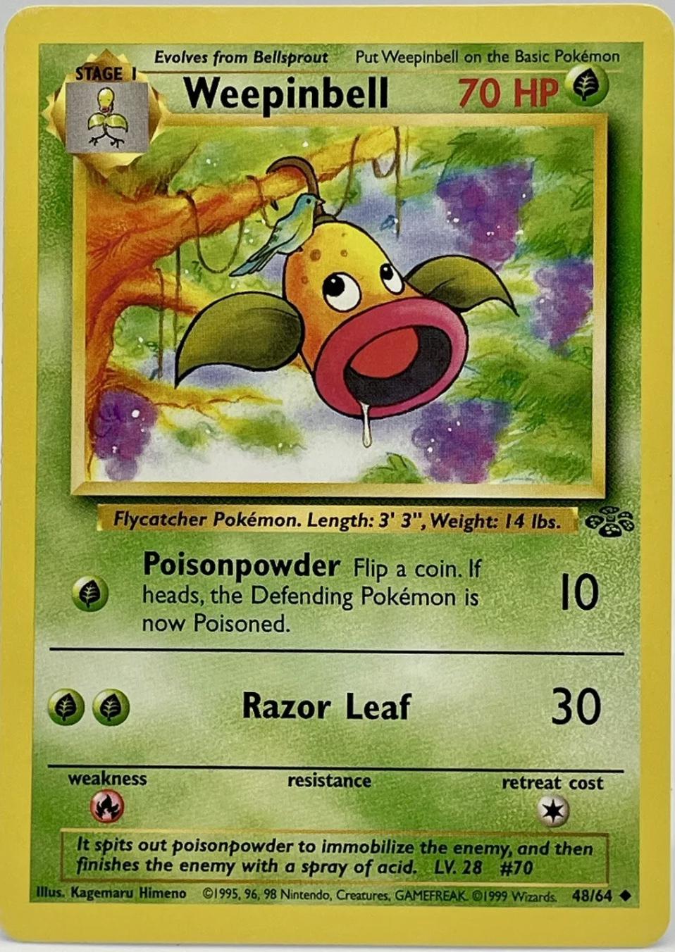 Weepinbell 48/64 Jungle
