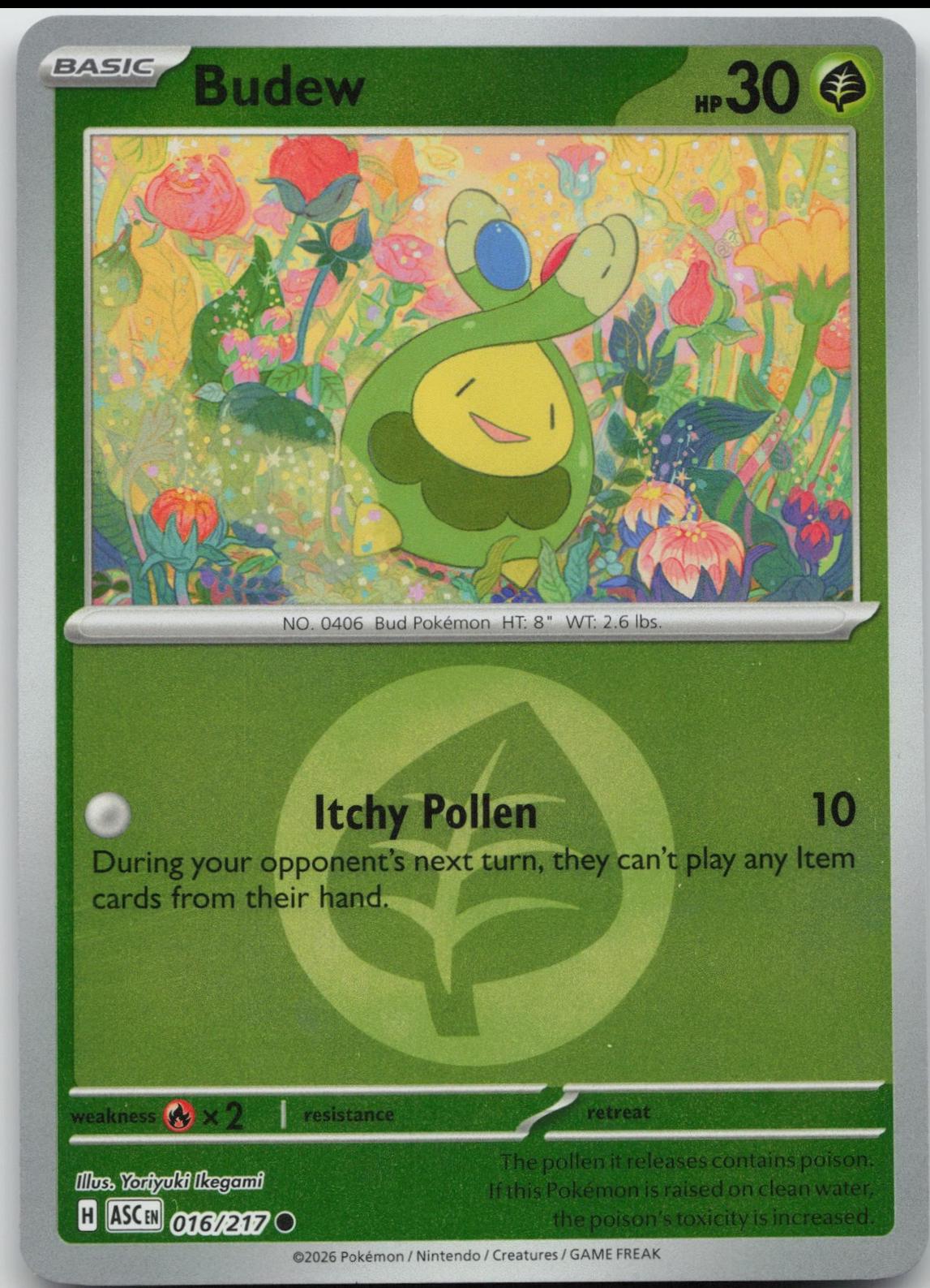 Budew 16/217 Ascended Heroes