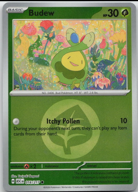 Budew 16/217 Ascended Heroes