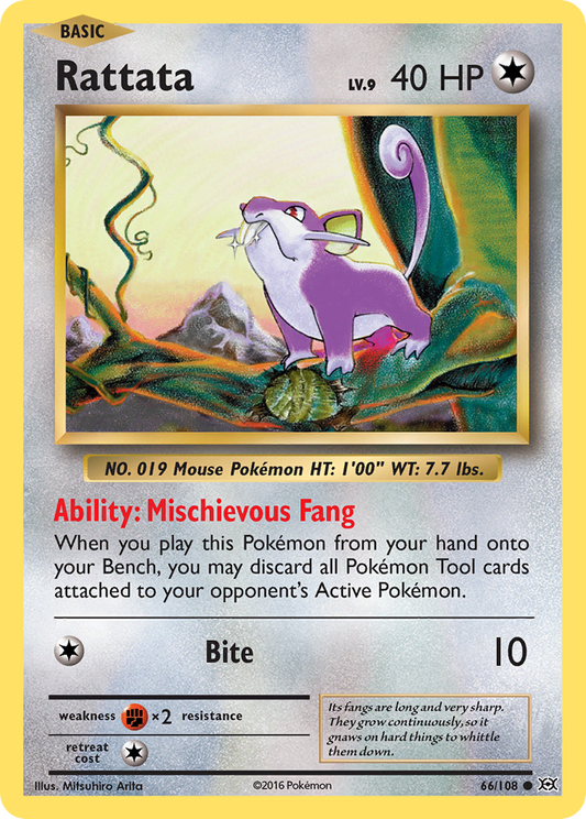 Rattata 66/108 Evolutions