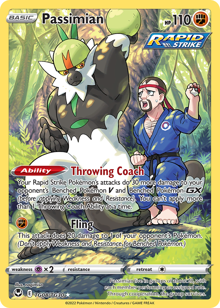 Passimian TG08/30 Silver Tempest Trainer Gallery
