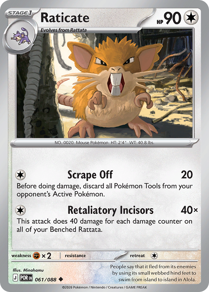 Raticate 61/88 Perfect Order