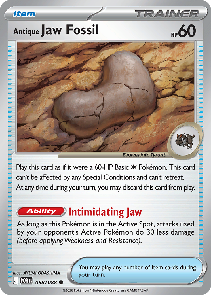 Antique Jaw Fossil 68/88 Perfect Order