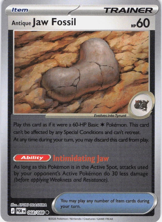 Antique Jaw Fossil 68/88 Perfect Order