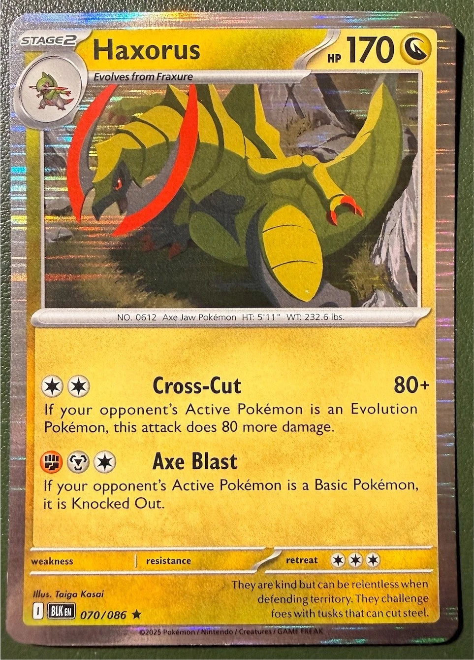 Haxorus 70/86 Black Bolt