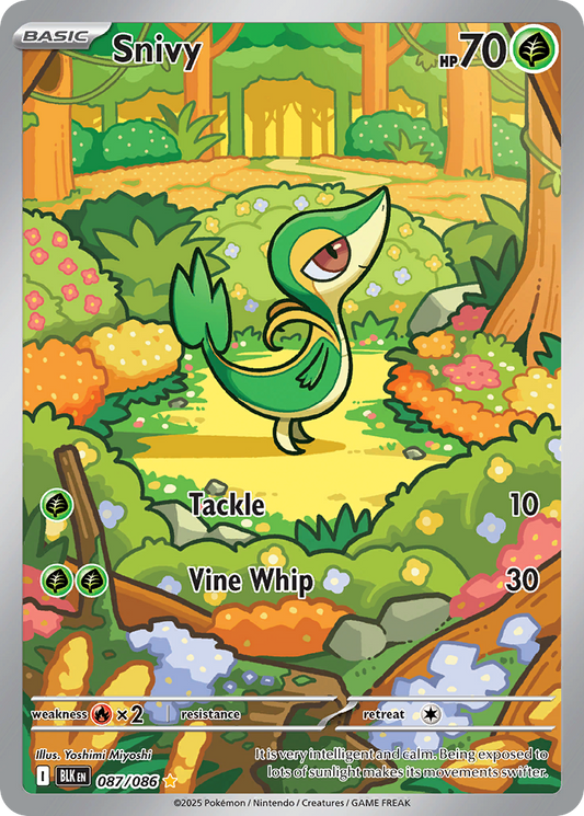 Snivy 87/86 Black Bolt